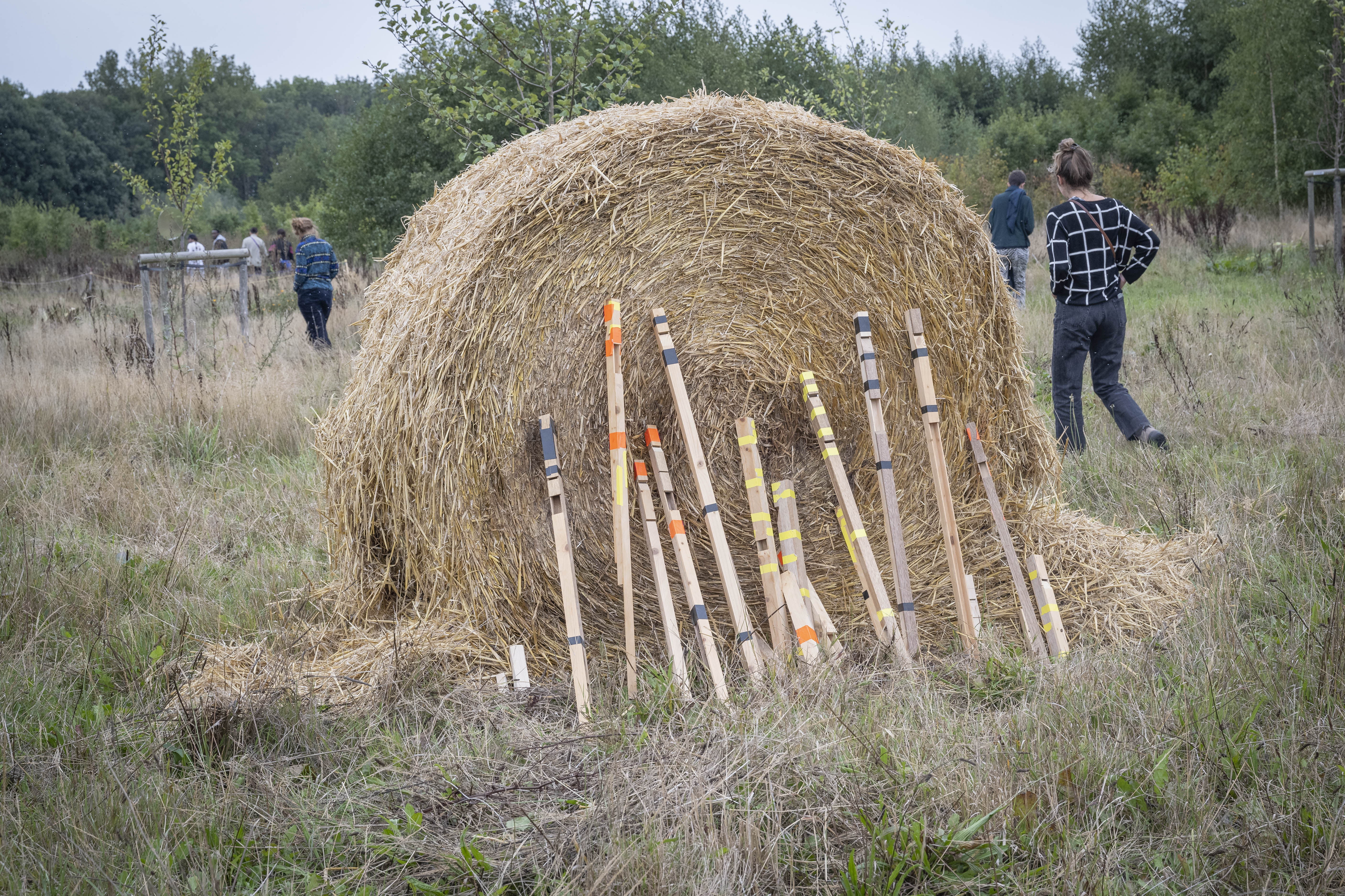 Festival Feral 2022 (image : Bea Borgers)